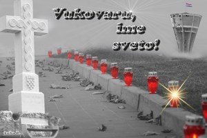 Slika PU_VS/Akcije/Vukovar - 2012/Obljetnica pada Vukovara_300x200.jpg
